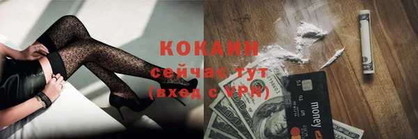 молекула духа Горнозаводск