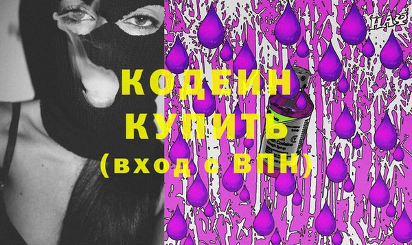 шишки Горняк