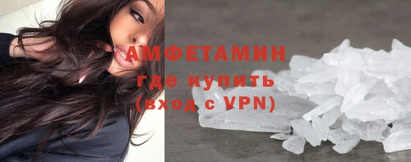 шишки Горняк