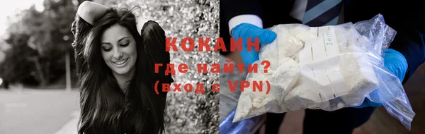 молекула духа Горнозаводск