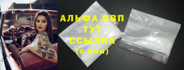 шишки Горняк