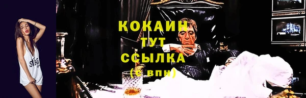 молекула духа Горнозаводск