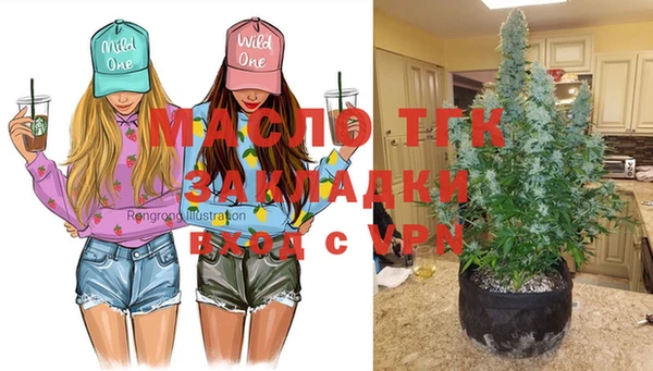 шишки Горняк