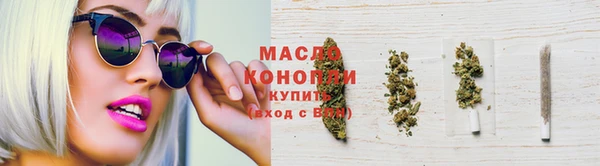 шишки Горняк