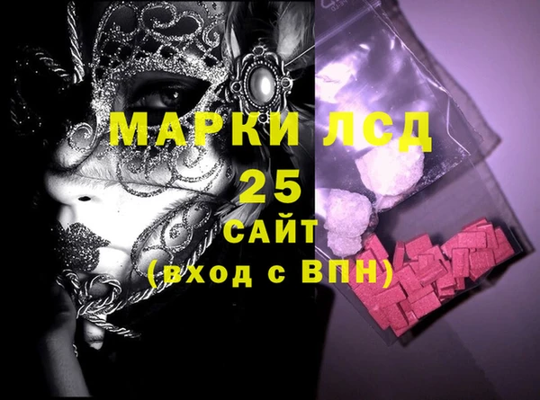 шишки Горняк