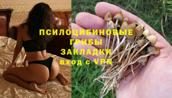 шишки Горняк