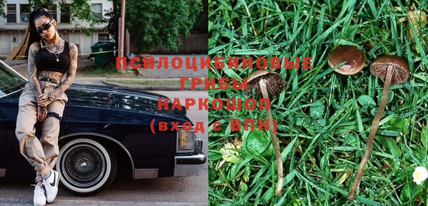 спиды Билибино