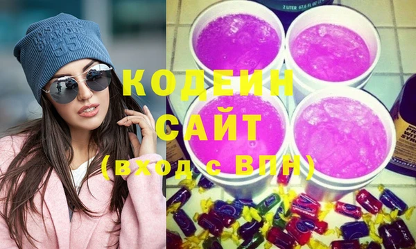 шишки Горняк