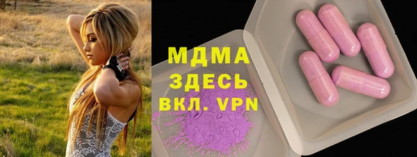 шишки Горняк