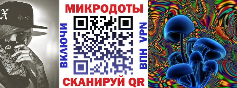 Псилоцибиновые грибы Psilocybine cubensis  Давлеканово 