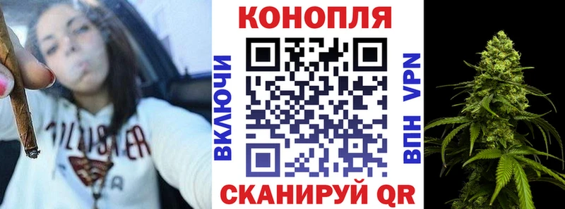 Бошки марихуана гибрид  как найти наркотики  Давлеканово 